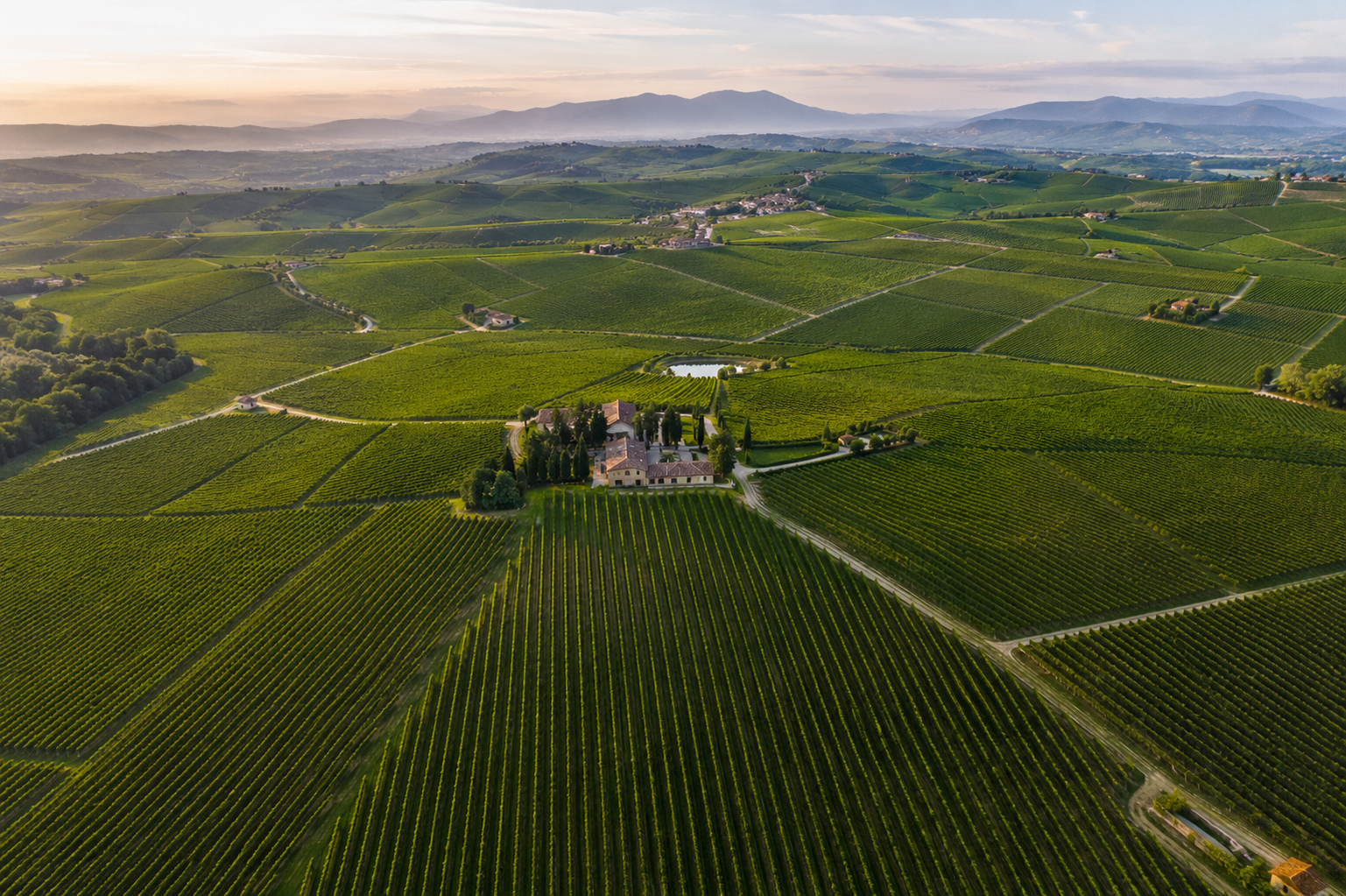Wide turf landscape viewed from above
